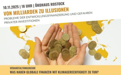 Von Milliarden zu Illusionen – Probleme der Entwicklungsfinanzierung und Gefahren privater Investitionen