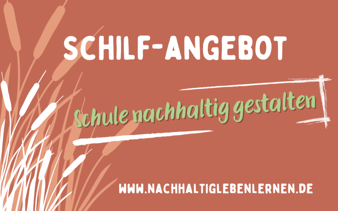 Schilf-Angebot: Schule nachhaltig gestalten