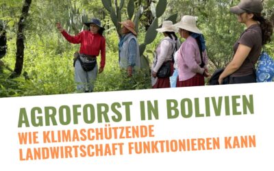 Agroforst in Bolivien - Wie klimaschützende Landwirtschaft funktionieren kann