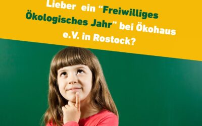 Werde FÖJler:in beim Ökohaus Bildungsprojekt – Nachhaltig Leben Lernen